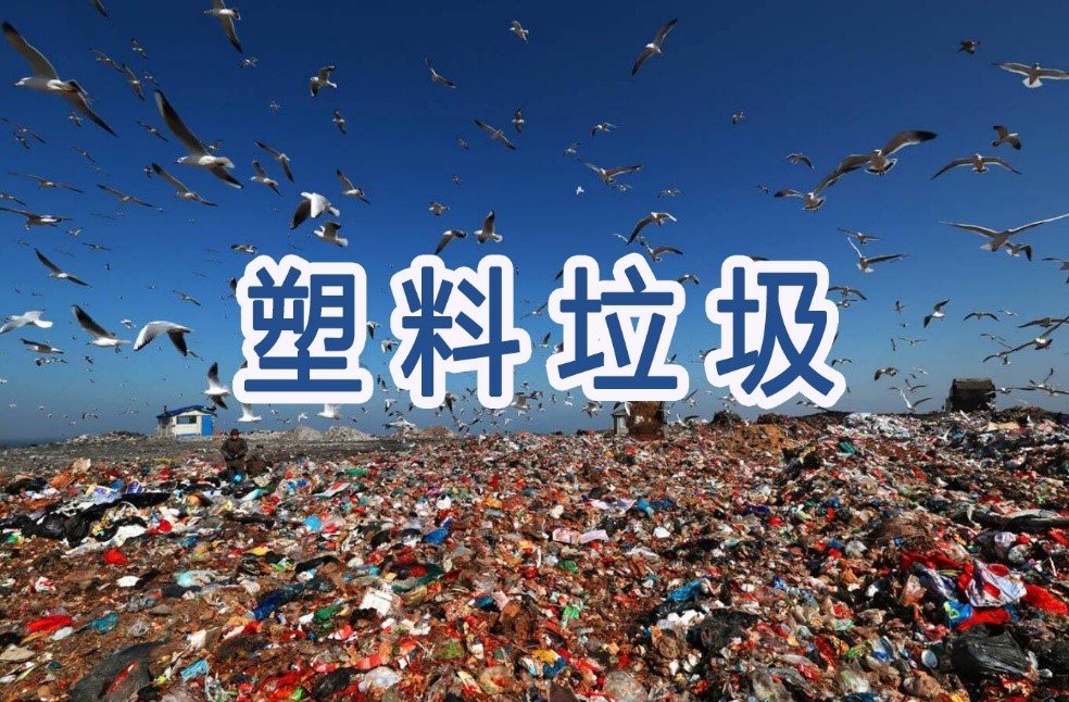 美報(bào)告：美國(guó)是全球最大塑料垃圾制造者  提出解決塑料垃圾問題的建議