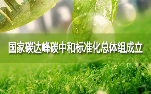國(guó)家碳達(dá)峰碳中和標(biāo)準(zhǔn)化總體組成立